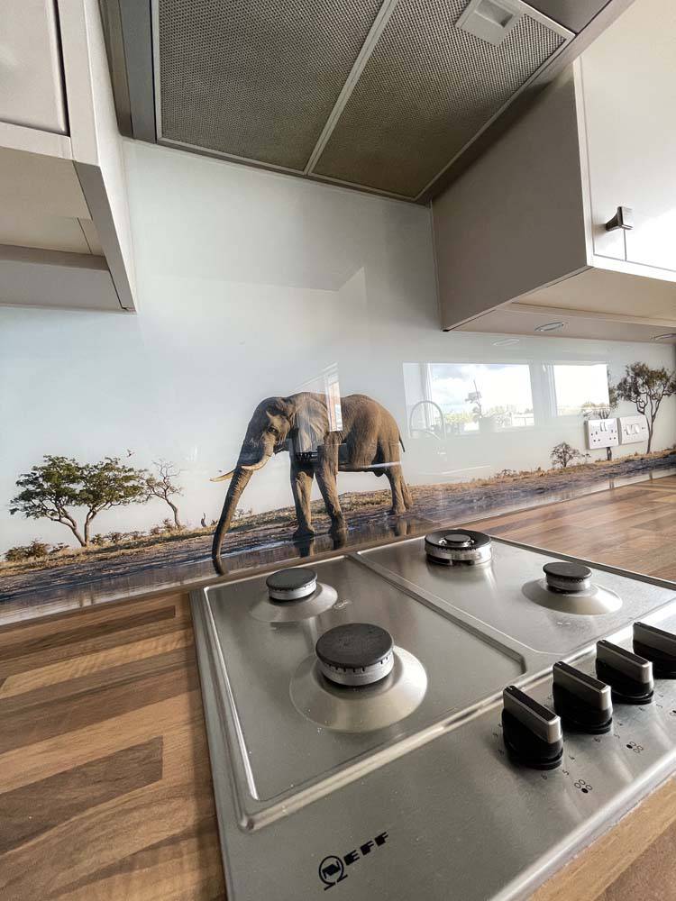 Grey Elephant in Safari Printed Glass Kitchen Splashback - CreoGlass E-Shop