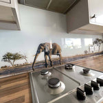 Grey Elephant in Safari Printed Glass Kitchen Splashback - CreoGlass E-Shop