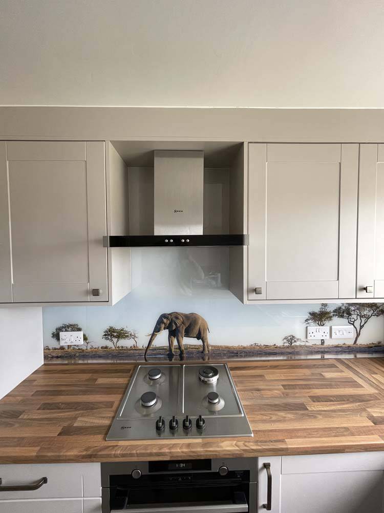 Grey Elephant in Safari Printed Glass Kitchen Splashback - CreoGlass E-Shop