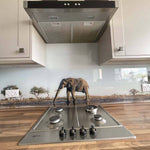 Grey Elephant in Safari Printed Glass Kitchen Splashback - CreoGlass E-Shop