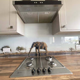 Grey Elephant in Safari Printed Glass Kitchen Splashback - CreoGlass E-Shop