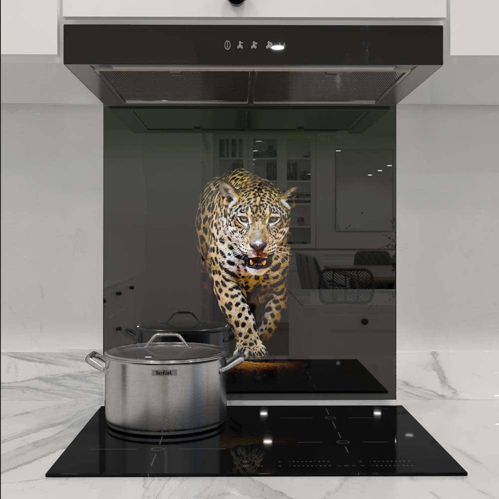 Leopard in Spotlight Printed Glass  Splashback - CreoGlass E-Shop