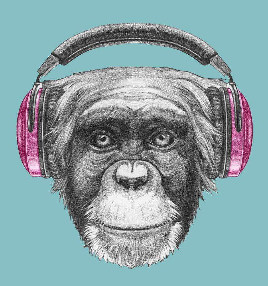 Monkey with Headphones Illustration Printed Glass  Splashback - CreoGlass E-Shop