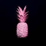 Pink Pineapple Printed Glass  Splashback - CreoGlass E-Shop
