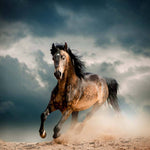 Running Horse Printed Glass  Splashback - CreoGlass E-Shop