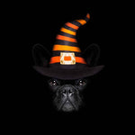 Spooky Pug Printed Glass  Splashback - CreoGlass E-Shop