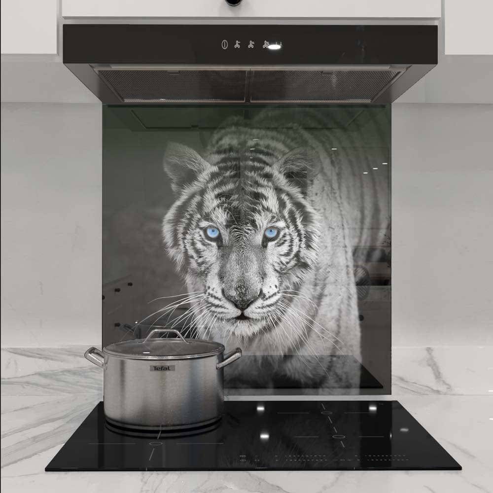 Tiger with Blue Eyes Printed Glass  Splashback - CreoGlass E-Shop