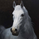 White Horse Printed Glass  Splashback - CreoGlass E-Shop