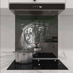 White Tiger in Spotlight Printed Glass  Splashback - CreoGlass E-Shop