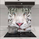 White Tiger Printed Glass  Splashback - CreoGlass E-Shop