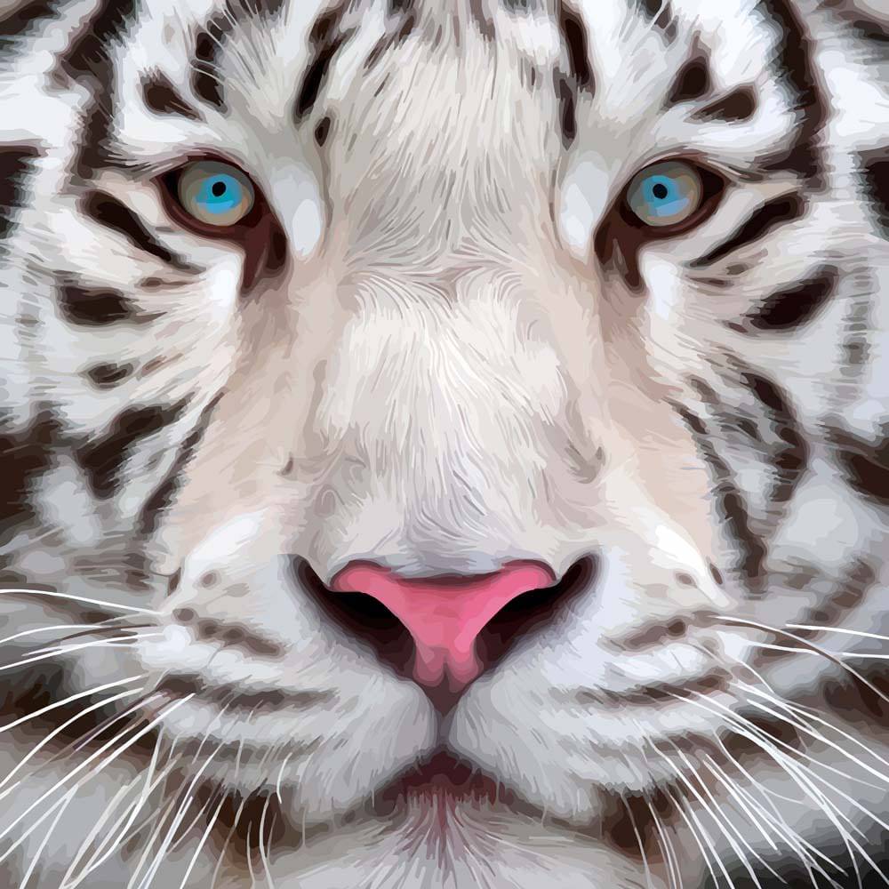 White Tiger Printed Glass  Splashback - CreoGlass E-Shop