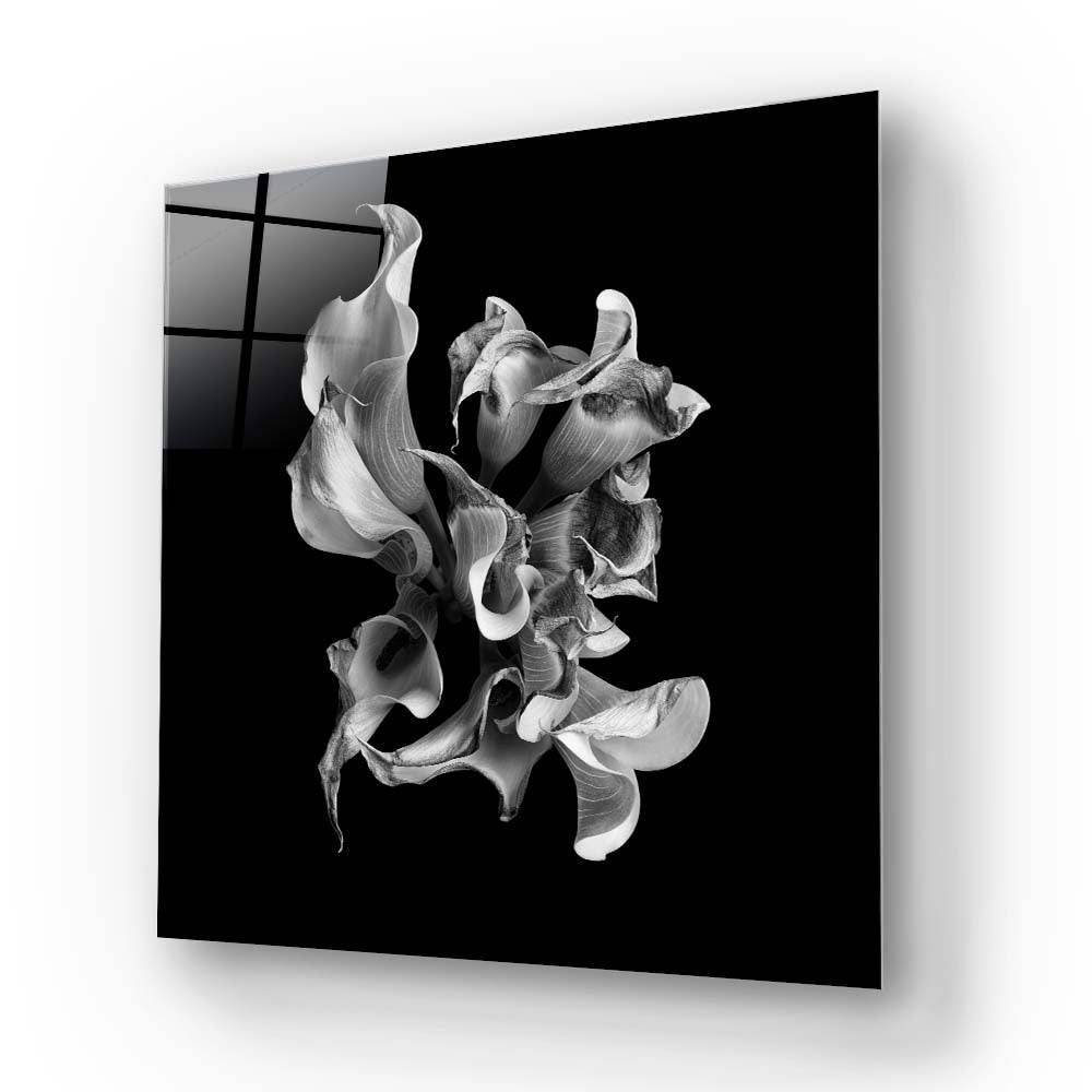 Abstract White Calla Glass Wall Art - CreoGlass E-Shop