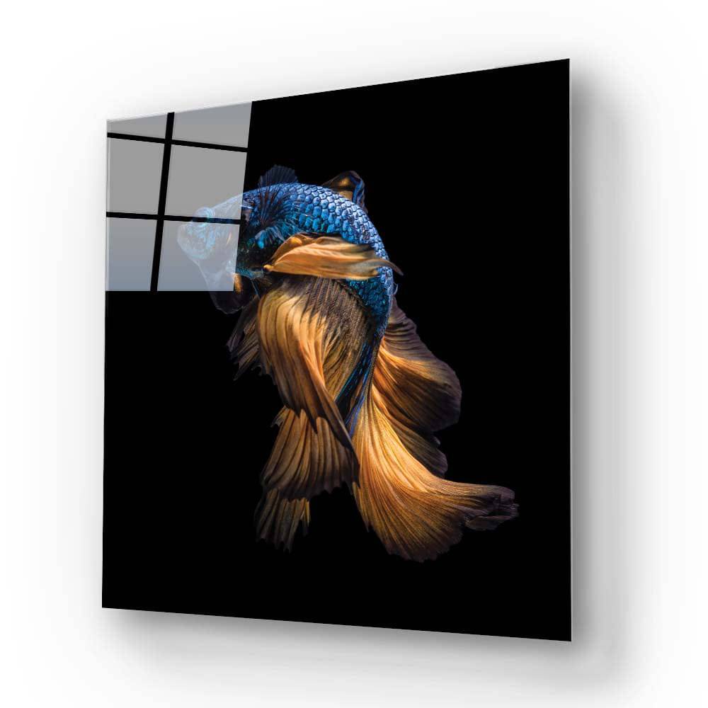 Betta Fish Glass Wall Art - CreoGlass E-Shop