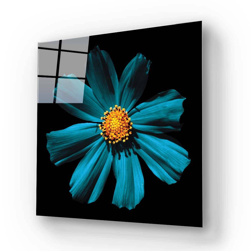 Cerulean Daisy Glass Wall Art - CreoGlass E-Shop