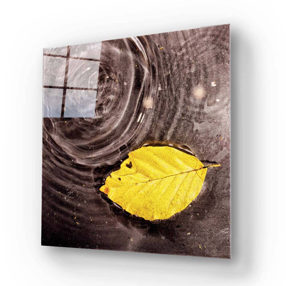 Fallen Autumn Leaf on Water Glass Wall Art - CreoGlass E-Shop