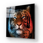 Fire and Ice Tiger Glass Wall Art - CreoGlass E-Shop