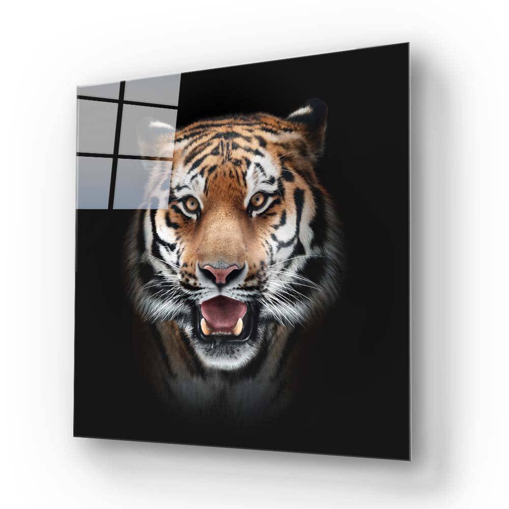 Front-Facing Tiger in Spotlight Glass Wall Art - CreoGlass E-Shop