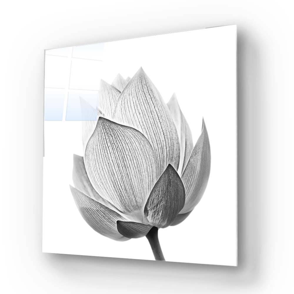 Lotus Black & White 2 Glass Wall Art - CreoGlass E-Shop