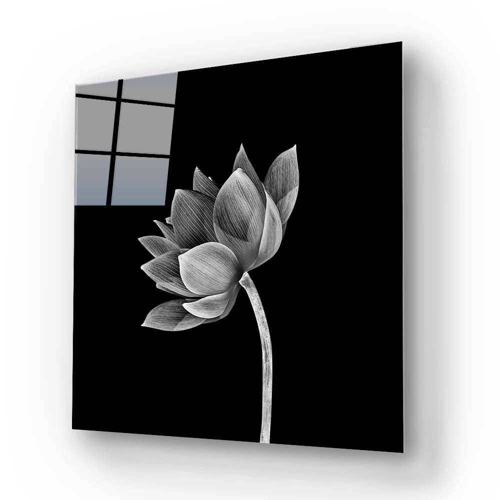 Lotus Black & White Glass Wall Art - CreoGlass E-Shop