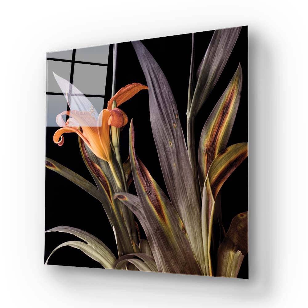 Orange Lily Glass Wall Art - CreoGlass E-Shop