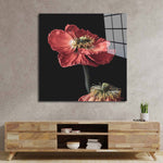 Poppy Glass Wall Art - CreoGlass E-Shop
