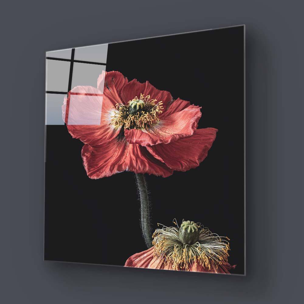 Poppy Glass Wall Art - CreoGlass E-Shop