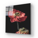 Poppy Glass Wall Art - CreoGlass E-Shop