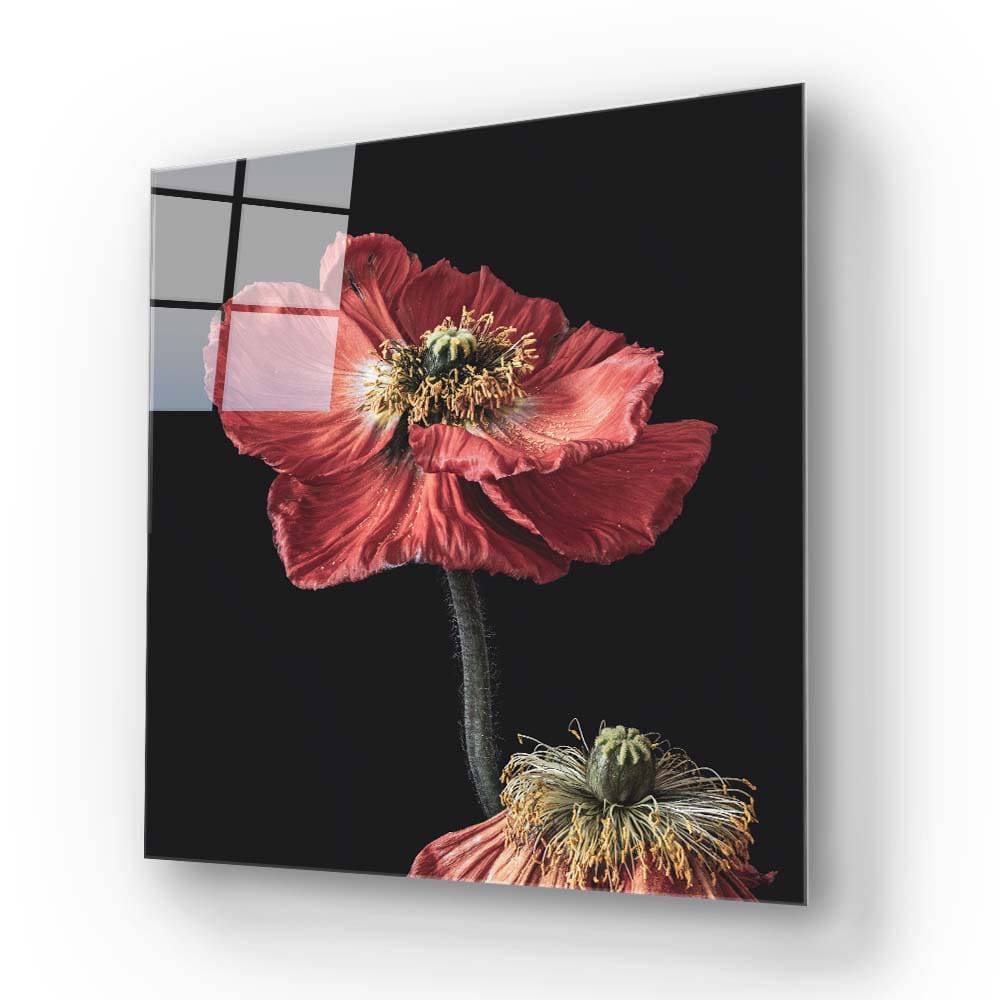 Poppy Glass Wall Art - CreoGlass E-Shop