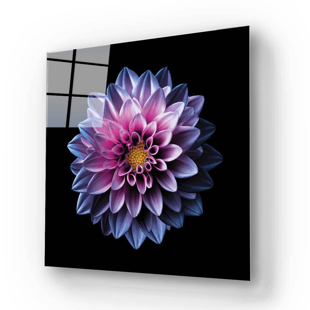 Purple Dahlia Glass Wall Art - CreoGlass E-Shop