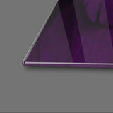 Purple Macaw Feathers Macro Photograph Glass Wall Art - CreoGlass E-Shop