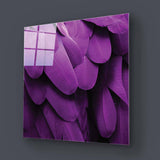 Purple Macaw Feathers Macro Photograph Glass Wall Art - CreoGlass E-Shop