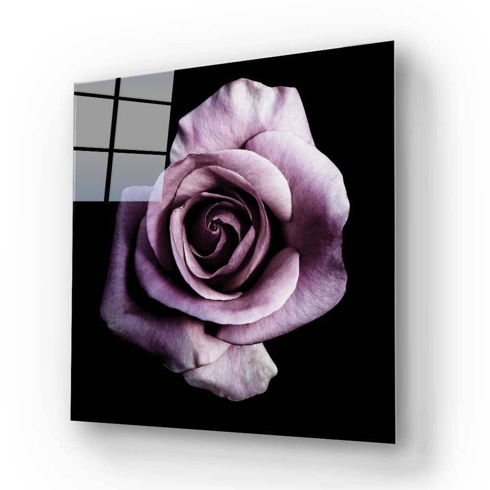 Purple Rose Glass Wall Art - CreoGlass E-Shop