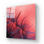 Red Dandelion Glass Wall Art - CreoGlass E-Shop
