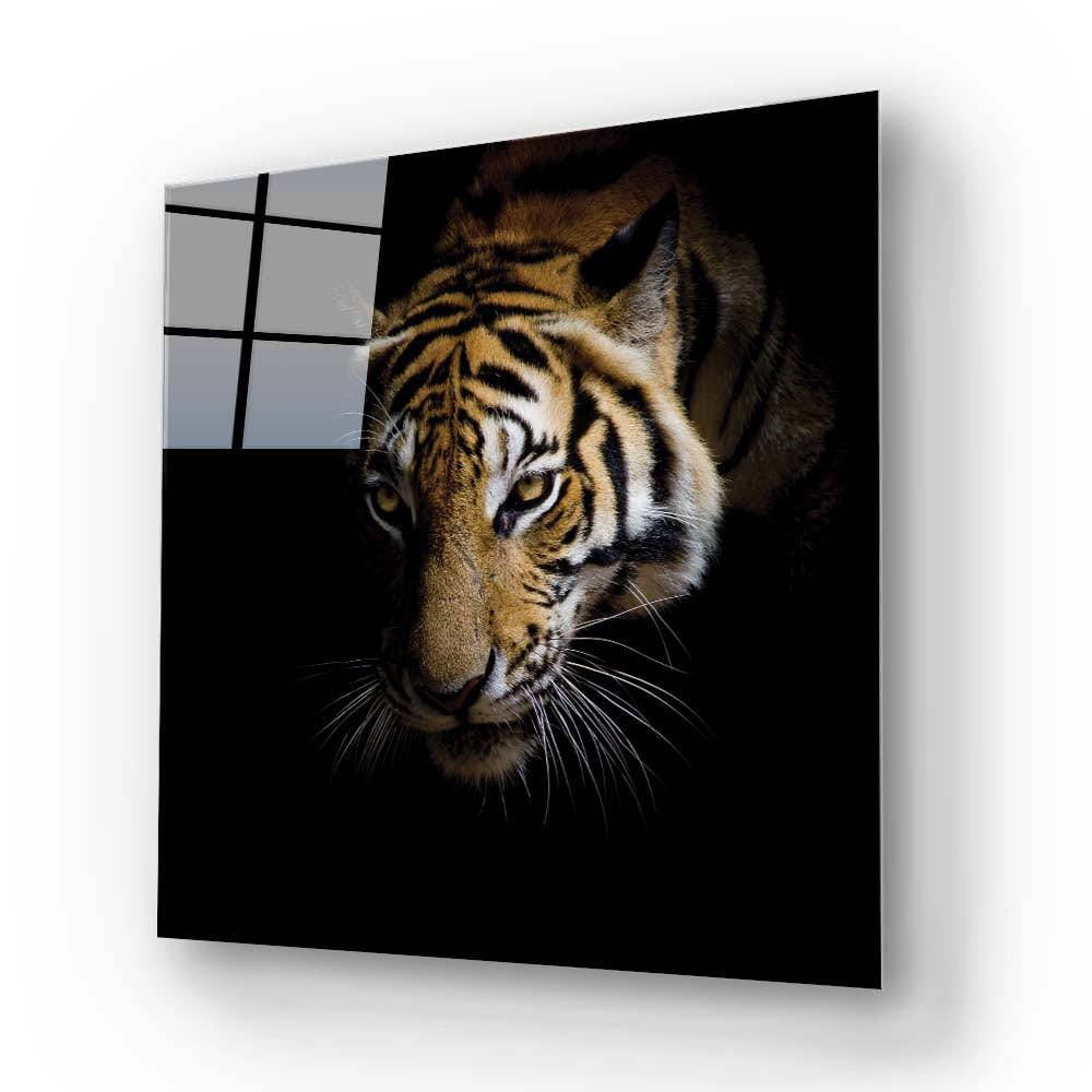 Side-Facing Tiger Glass Wall Art - CreoGlass E-Shop