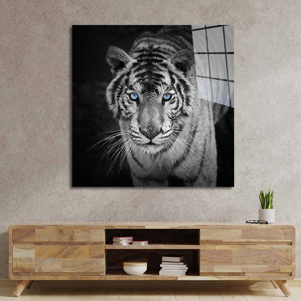 Tiger with Blue Eyes Glass Wall Art - DIY – Splashbacks 4U