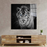 Tiger with Blue Eyes Glass Wall Art - CreoGlass E-Shop