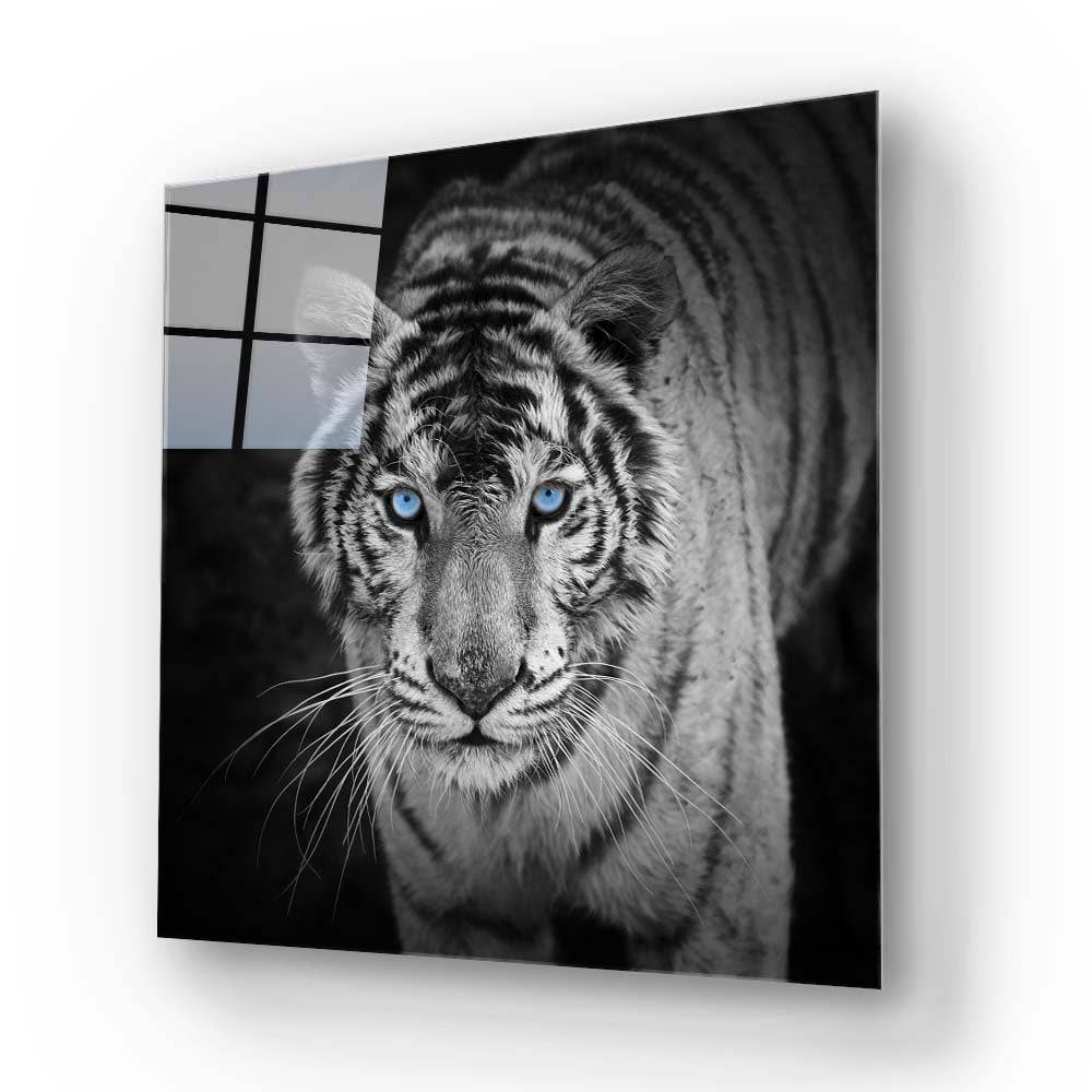 Tiger with Blue Eyes Glass Wall Art - CreoGlass E-Shop