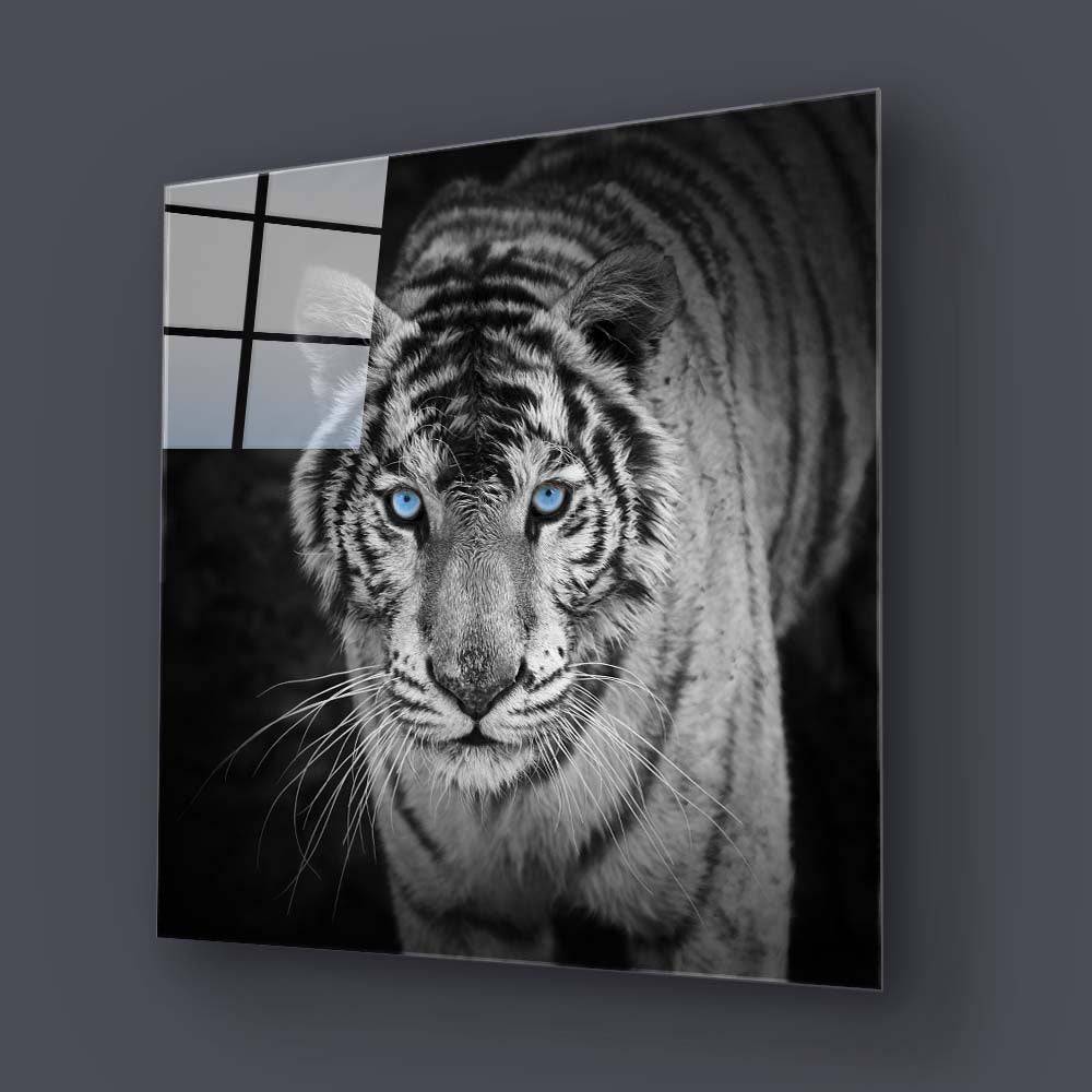 Tiger with Blue Eyes Glass Wall Art - CreoGlass E-Shop