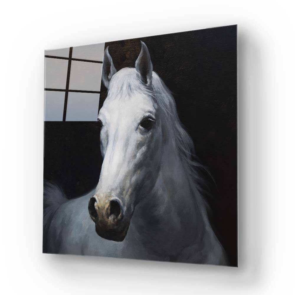 White Horse Glass Wall Art - CreoGlass E-Shop