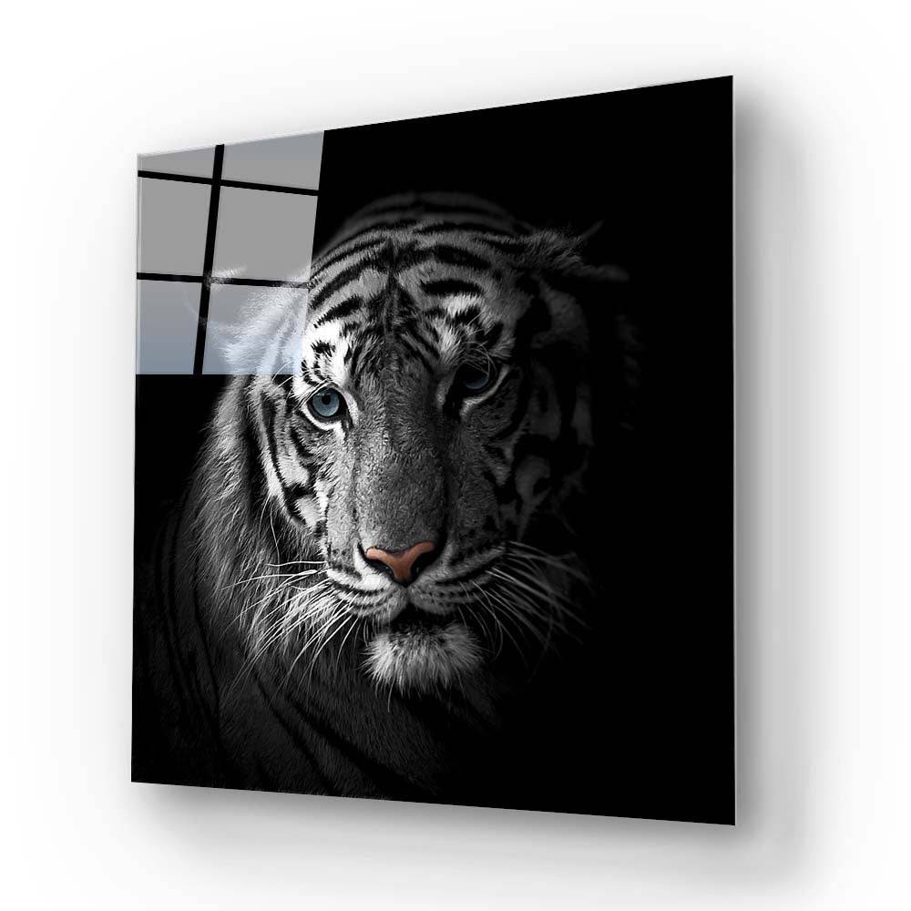 White Tiger in Spotlight Glass Wall Art - CreoGlass E-Shop
