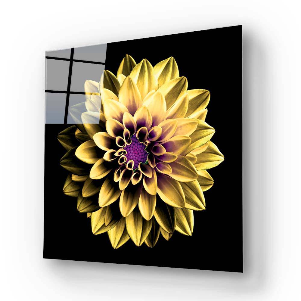 Yellow and Purple Dahlia Glass Wall Art - CreoGlass E-Shop