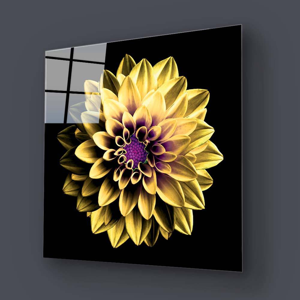 Yellow and Purple Dahlia Glass Wall Art - CreoGlass E-Shop