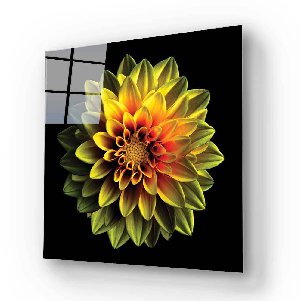 Yellow Dahlia Glass Wall Art - CreoGlass E-Shop