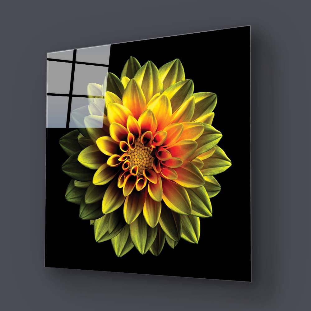 Yellow Dahlia Glass Wall Art - CreoGlass E-Shop