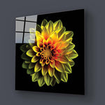 Yellow Dahlia Glass Wall Art - CreoGlass E-Shop