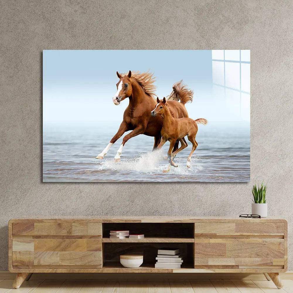 Arab Mare Foal Running Through Splashes Glass Wall Art - CreoGlass E-Shop