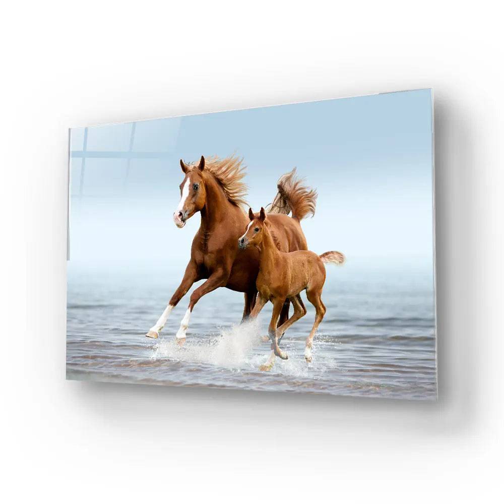 Arab Mare Foal Running Through Splashes Glass Wall Art - CreoGlass E-Shop