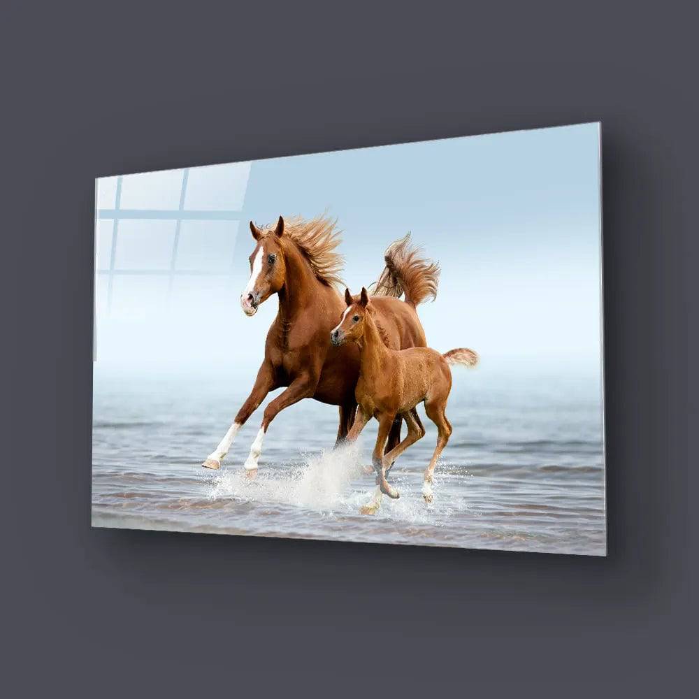 Arab Mare Foal Running Through Splashes Glass Wall Art - CreoGlass E-Shop