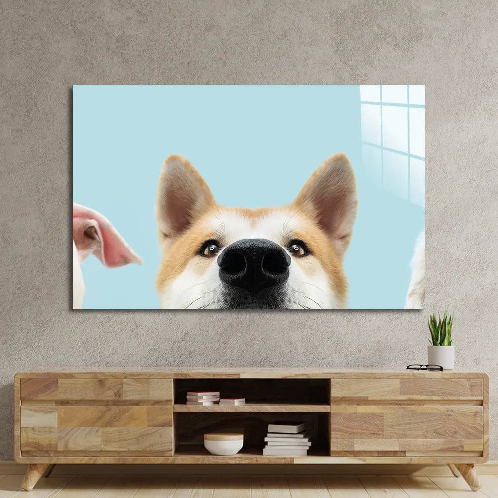 Banner Closeup Three Hide Dogs Head Glass Wall Art - CreoGlass E-Shop