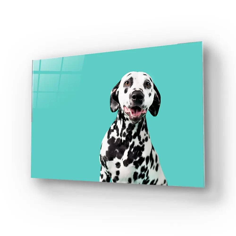 Beautiful Dalmatian Dog On Coloured Background Glass Wall Art - CreoGlass E-Shop
